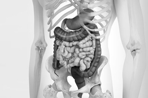 ESD e endoscopia do “terceiro espaço”