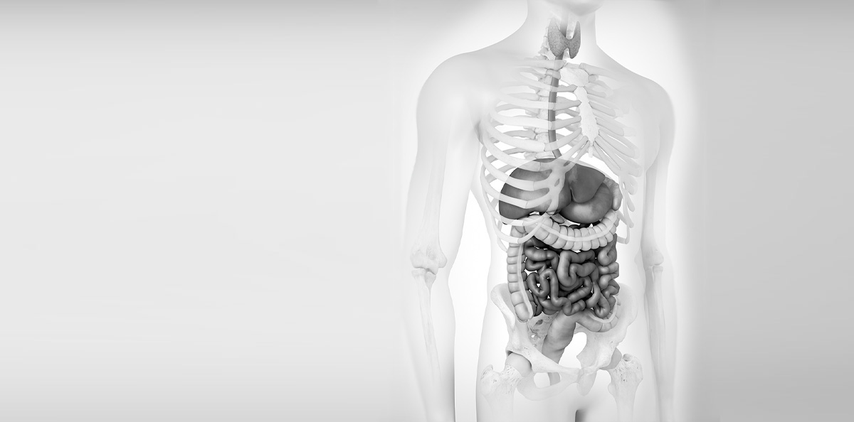 Cirurgia Geral
